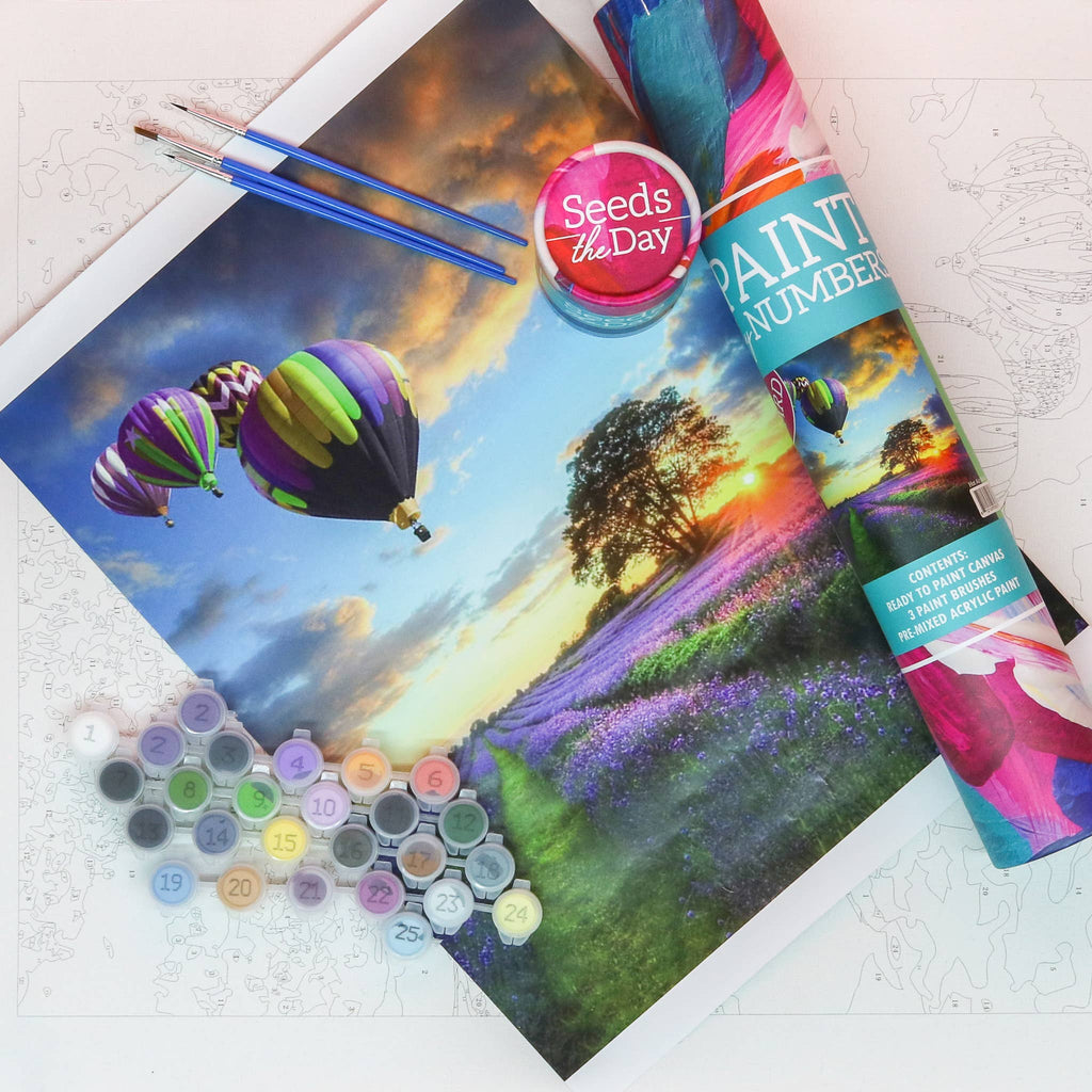 Hot Air Balloon Adult DIY Paint-By-Number Craft Set Kit