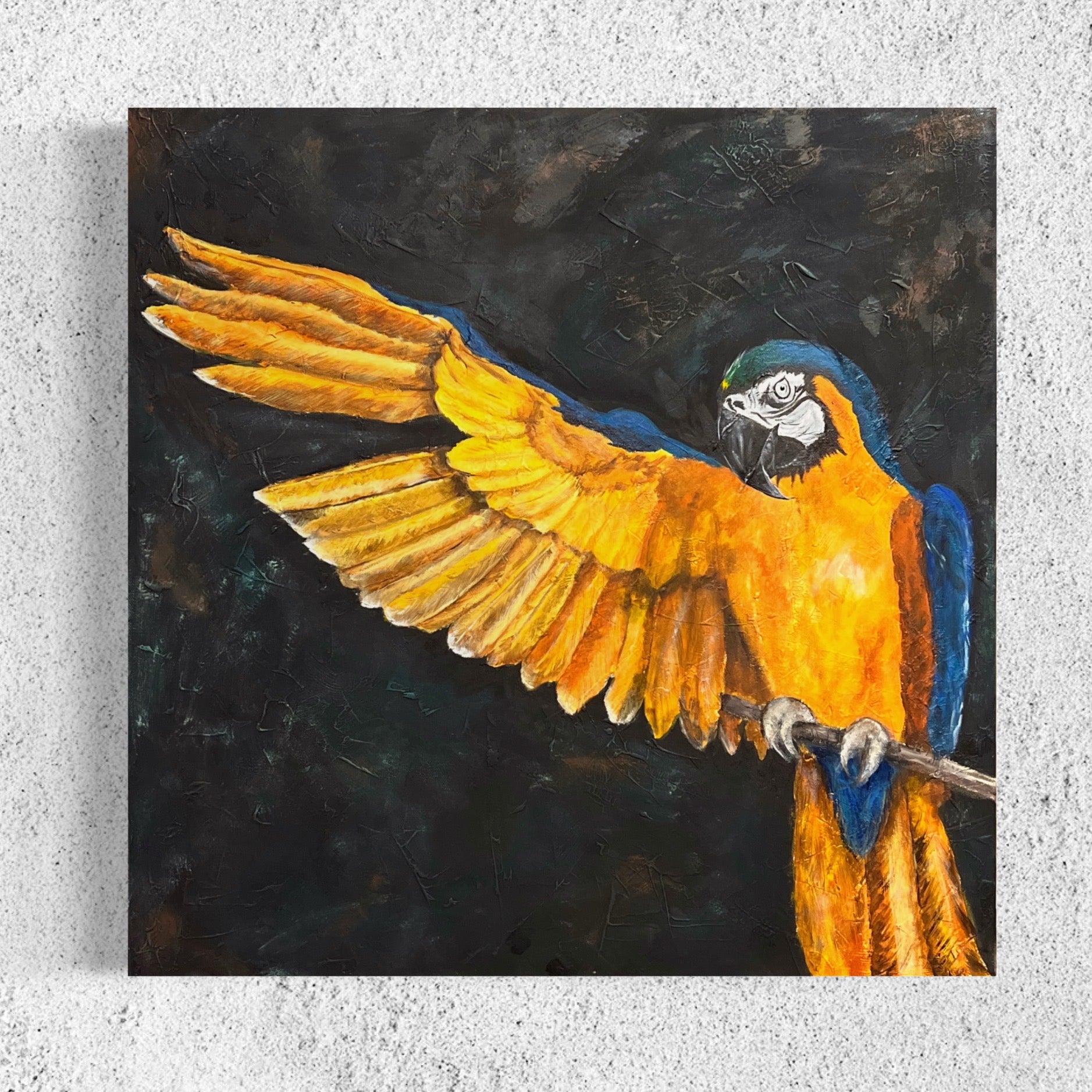beauty-of-a-macaw-original-acrylic-canvas-and-canvas-reproduction-prints